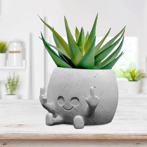 Smiling plant pot with middle - plant,