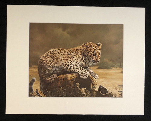 Charles frace african - frace',