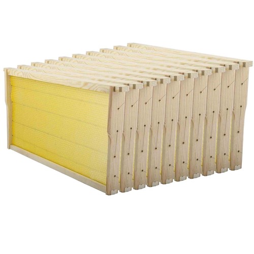 Bee hive frames - hive, 10