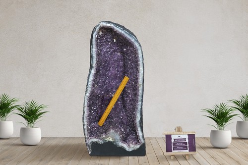 128 9lb large - large, amethyst