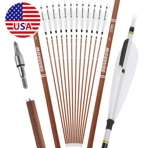 12x pure carbon - 31", arrows