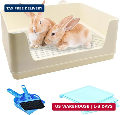Extra large rabbit - rabbit, box