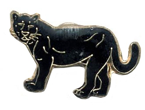 Black panther walking - panther,