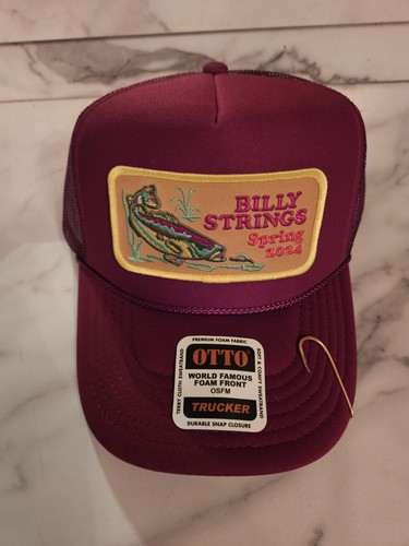 Billy strings spring tour - strings, "spring