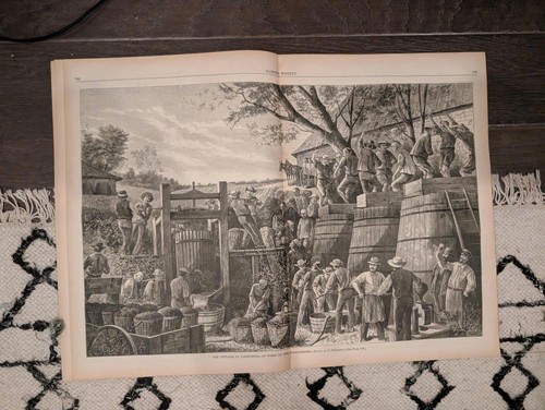 1878 california wine - california, making