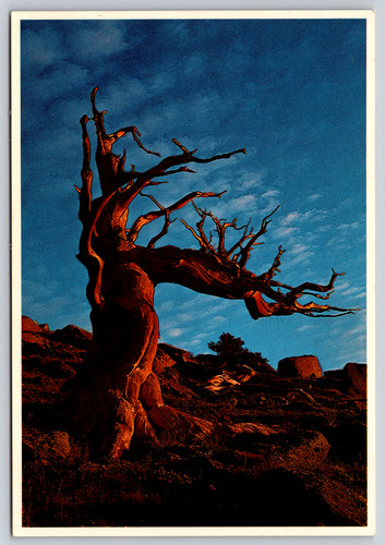 Postcard early morning sun - morning, at