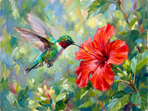 Hibiscus flower and - hibiscus,
