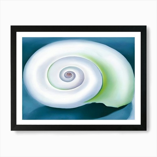 Georgia keeffe shell no i - -, no.