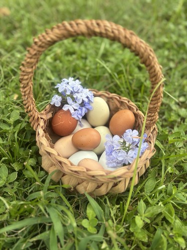Organic pasture raised - organic, pasture-raised