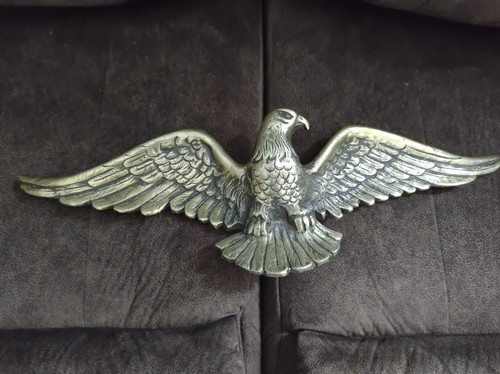 American bald eagle spread - bald,