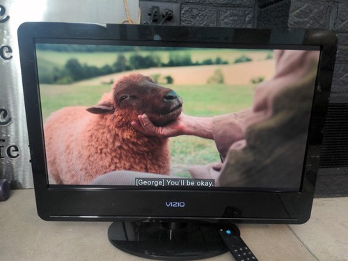 Vizio va220e 2009 lcd - va220e,