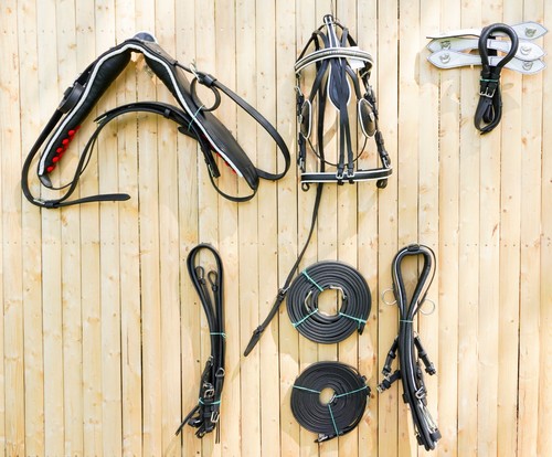 Full size horse patent - full,