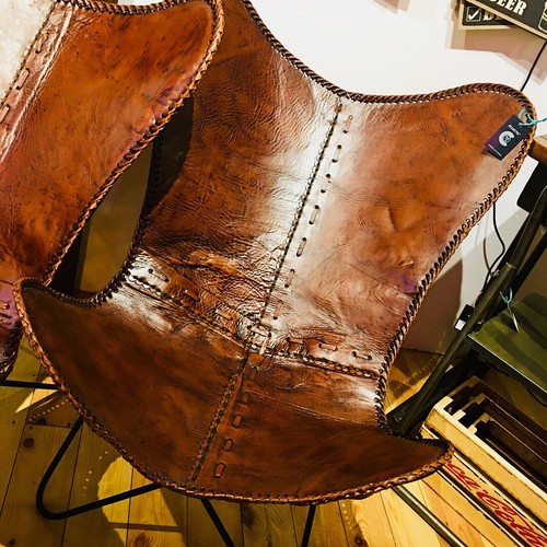Buffalo leather butterfly - leather,