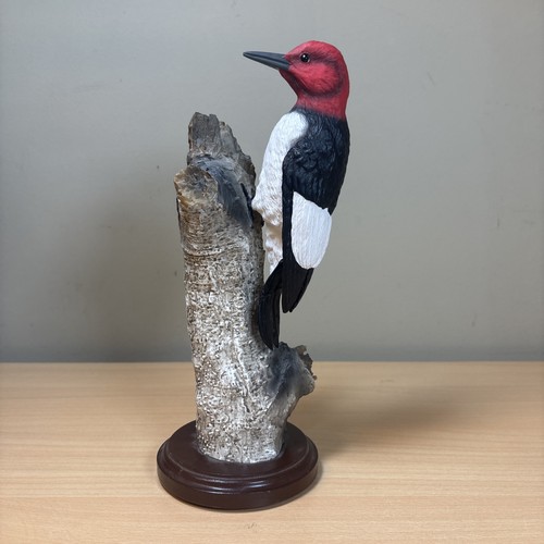 Red headed woodpecker - red,