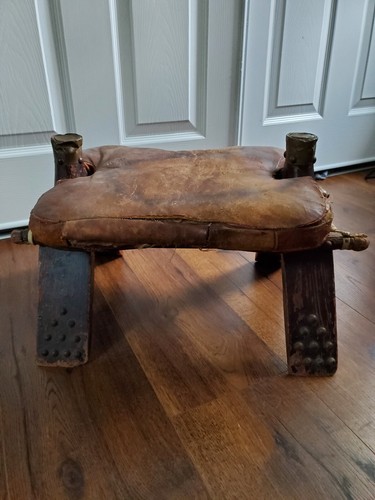 Egyptian distressed camel - distressed,