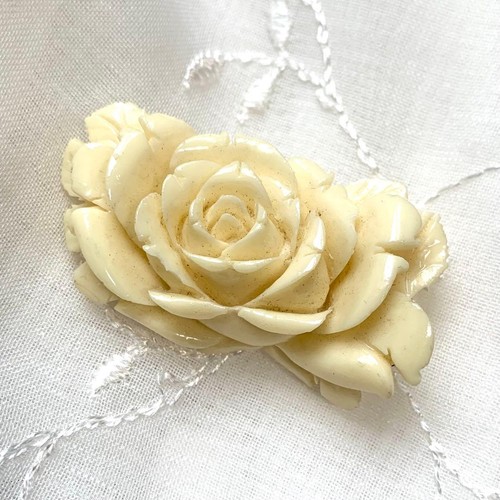 Vintage white coral rose - white,