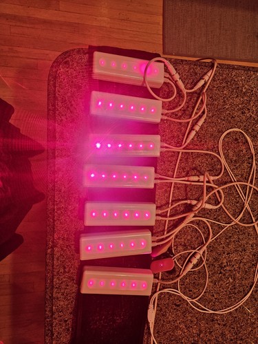Strawberry lipo laser - strawberry,