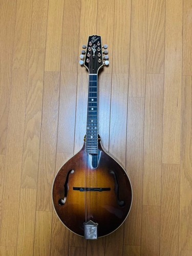 Gibson mandolin 1989 - gibson, a-5l