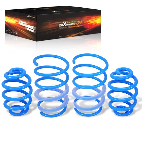 Maxpeedingrods lowering spring - maxpeedingrods,