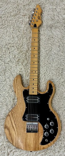 1981 peavey electric - 1981,