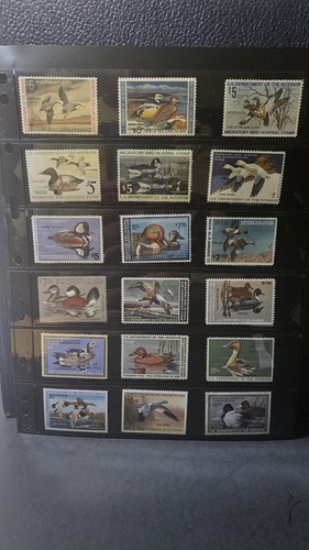 Joystamp duck in a - us, row