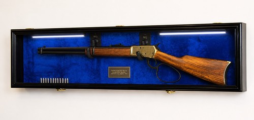 Gun display case - case, light