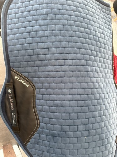 Saddle pads - saddle,