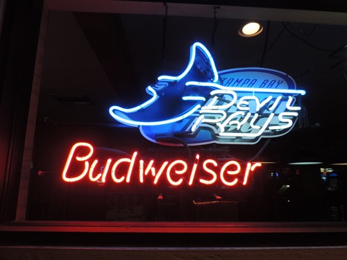 Tampa bay devil - tampa,