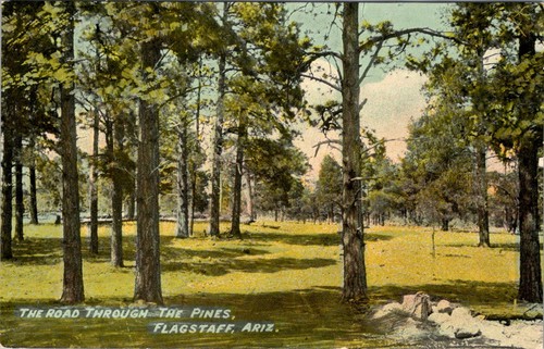 Flagstaff road through the - az,