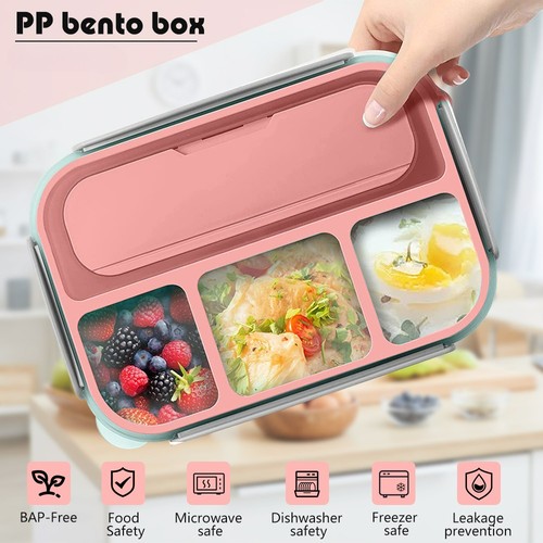 Bento box adult - bento,