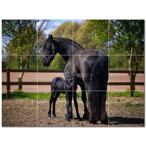 Horse ceramic tile wall mural - ceramic,