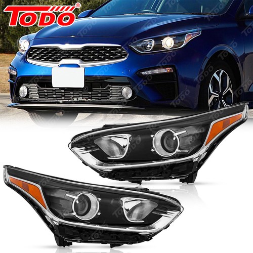 Headlight assembly for - headlight,