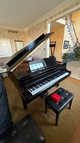 Kawai ebony baby - kawai,