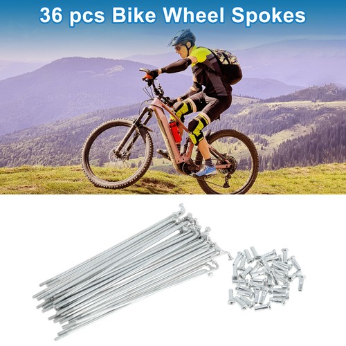 Set 14g bicycle - 36,