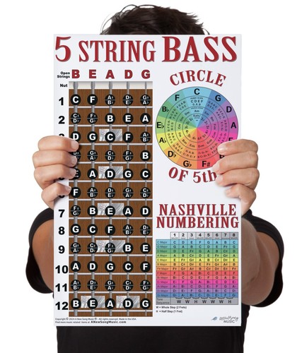 Laminated string bass - 5,