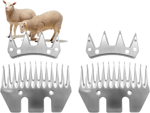 Tooth sheep grooming - tooth,