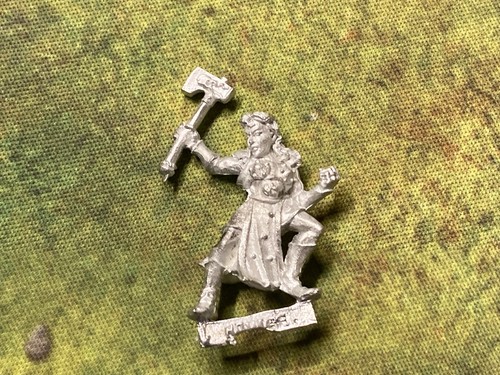 Warhammer sigmarite novice - -,