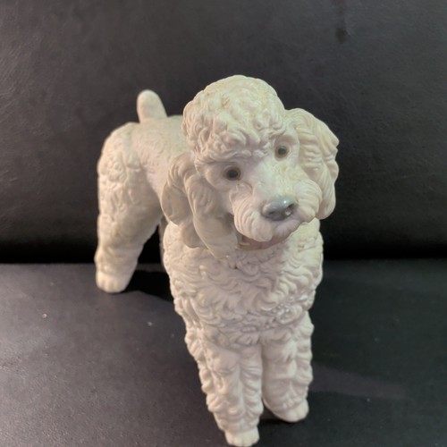 Lladro poodle 1259 mint - #1259,