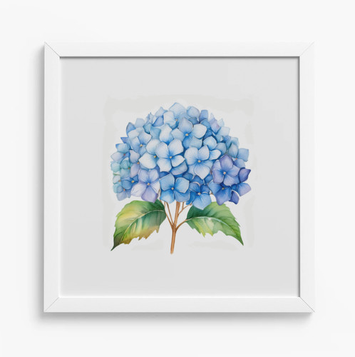 Framed blue hydrangea - framed,