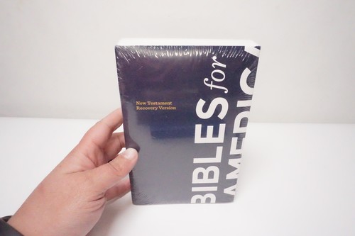 Bible new testament recovery - testament,