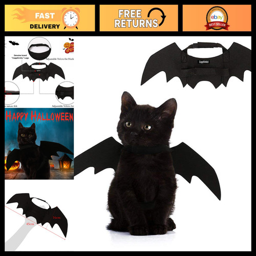 Halloween cat bat - halloween, wings