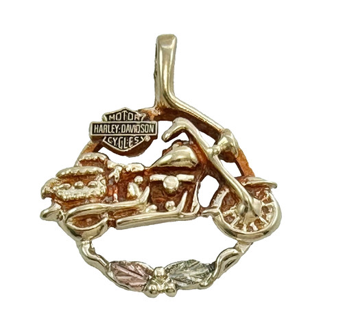 Harley davidson motorcycle - harley,