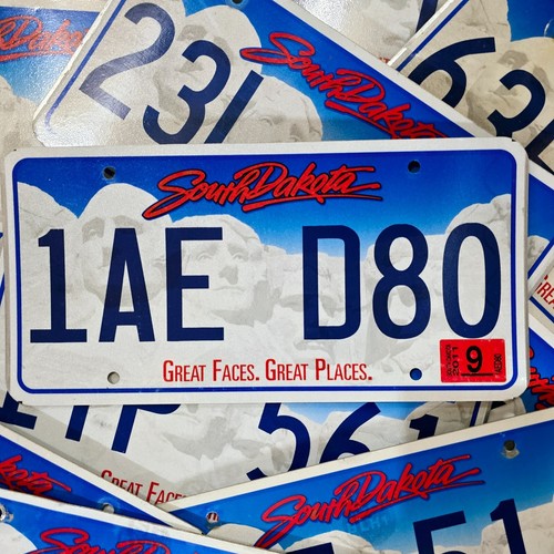 South dakota license plate - license,