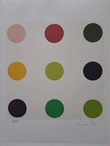 Damien hirst signed - damien,