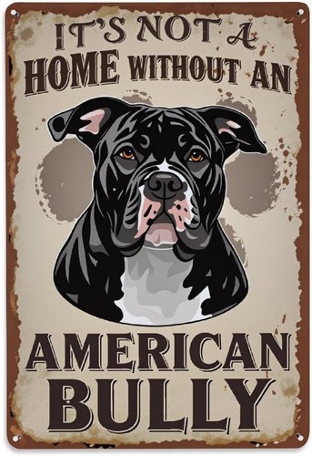 American bully dog - bully, portrait