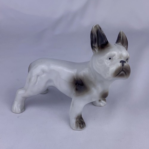 Standing frenchie dog puppy - frenchie,