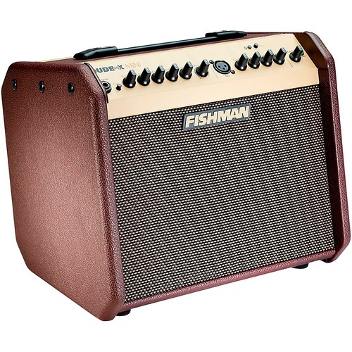 Fishman loudbox mini - loudbox, 60w