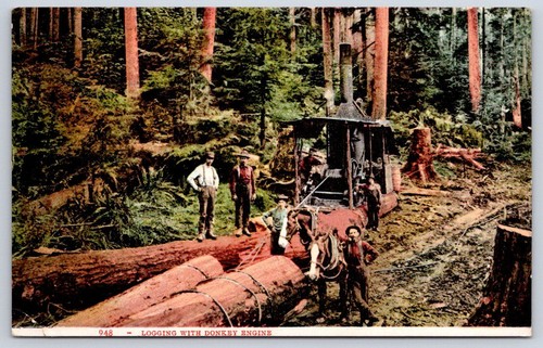 Vintage logging with donkey - with,