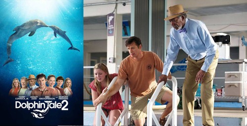 Dolphin tale morgan - dolphin,