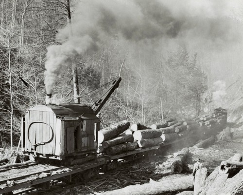 Trainload poplar oak - trainload, &